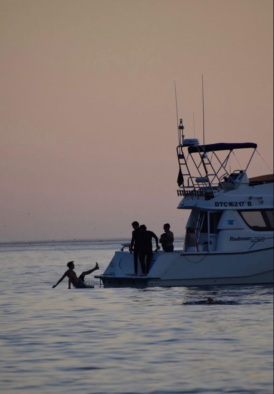 Mac Diver luxury charter boat cruising the Hout Bay coastline at sunset